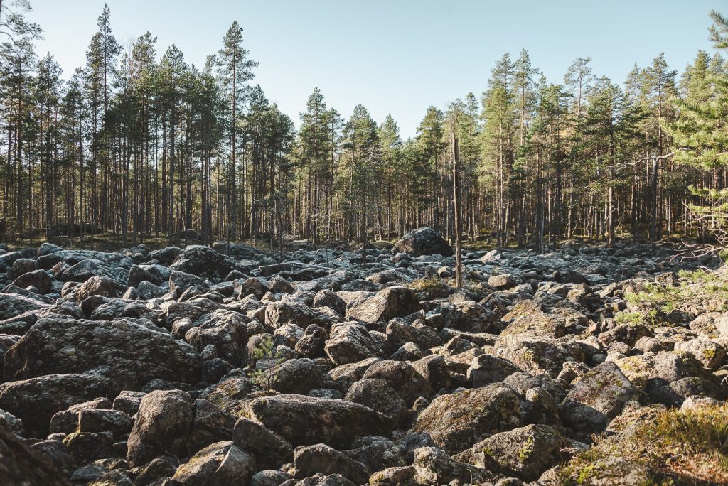 Suurijärven retkeilyreitistö