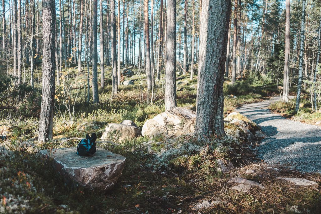 Suurijärven retkeilyreitistö