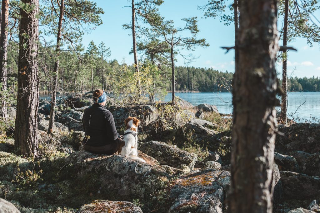 Suurijärven retkeilyreitistö