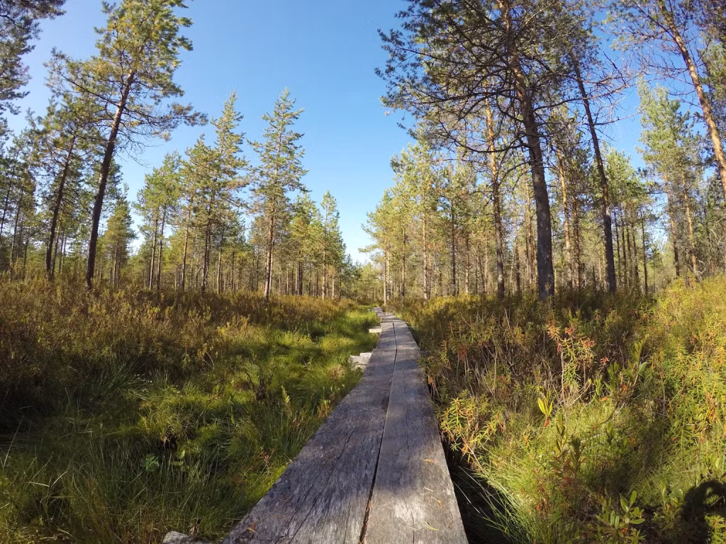 a65512f6-5c7a-4d5a-8a76-65156b9c1f2d